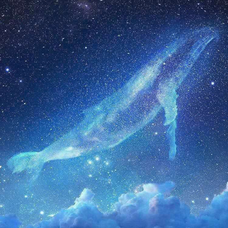 那片深海