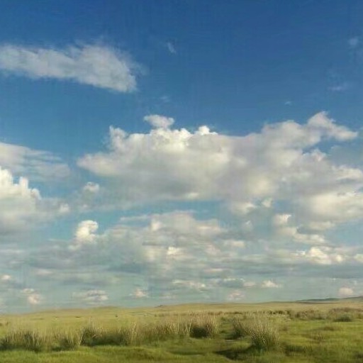 格局与胸怀