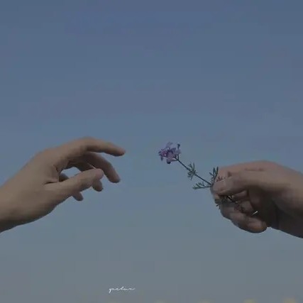 表白情话