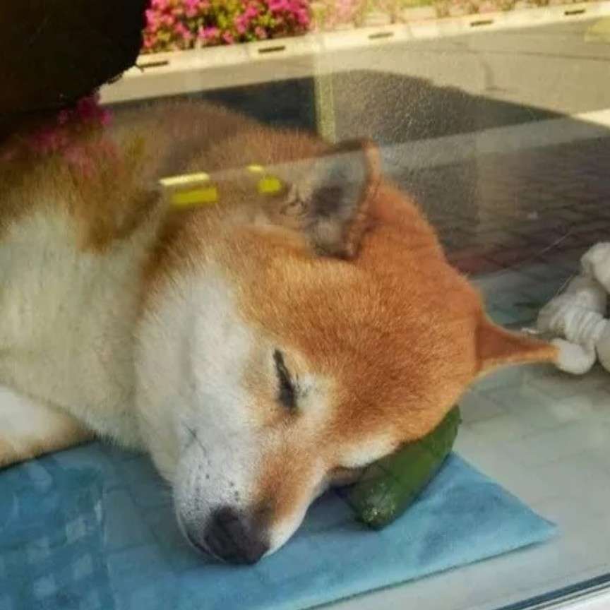 励志