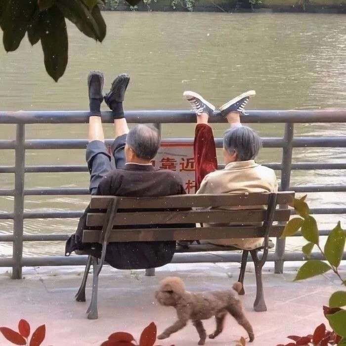 情话句子