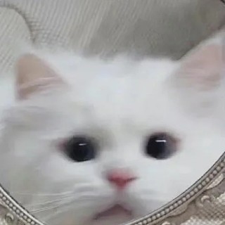 阿眠的专辑