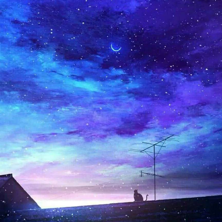 💫