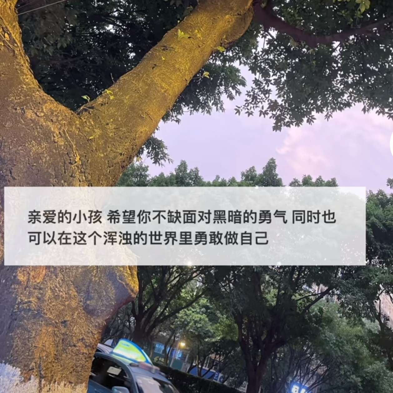 我的专辑