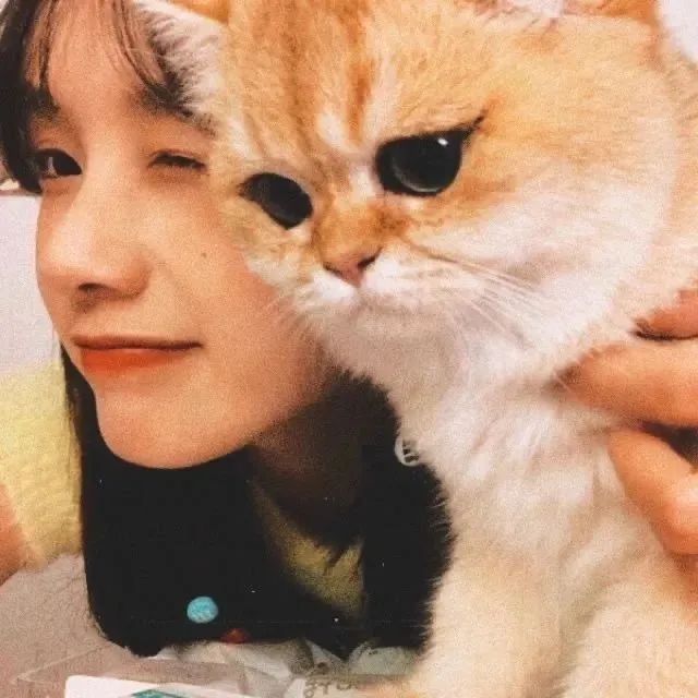 专辑