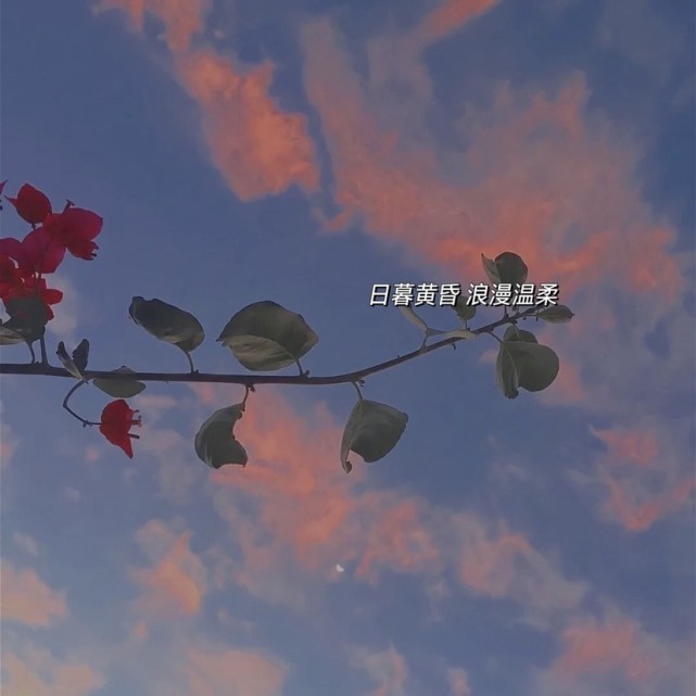 让我留在你身边