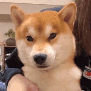搞笑的