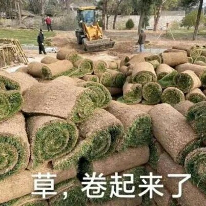 学校统一盒饭
