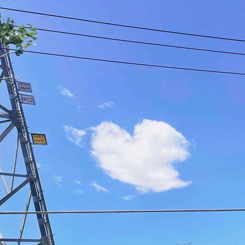 %的专辑