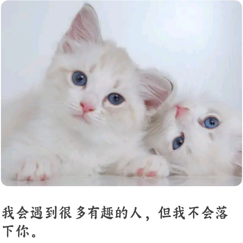 我的专辑