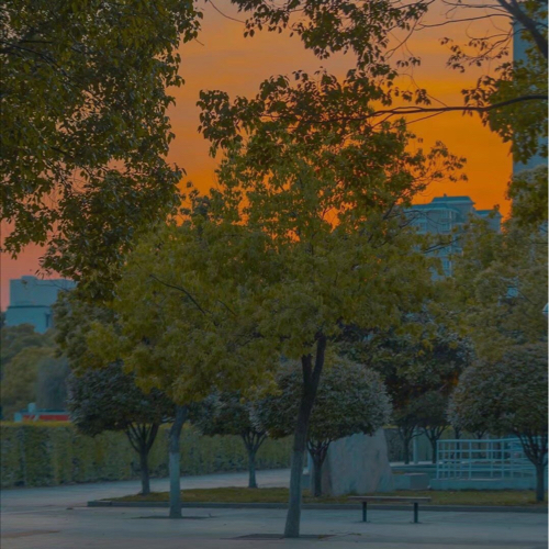 唐人街探案