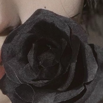 玫瑰再美，终会枯萎