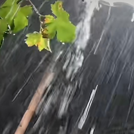 雨