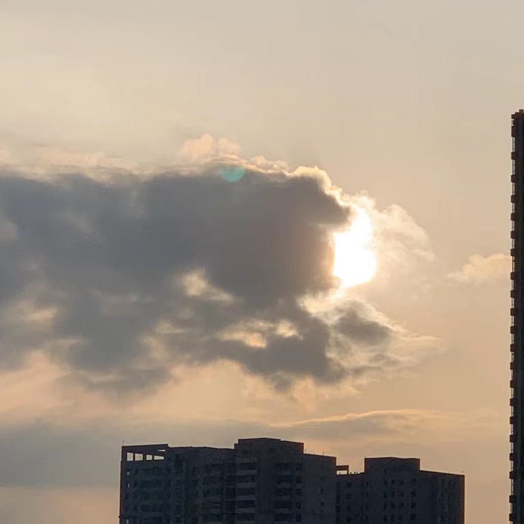 沈怡的专辑
