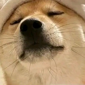 一个个心动的句子