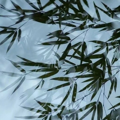 聊赠一枝春