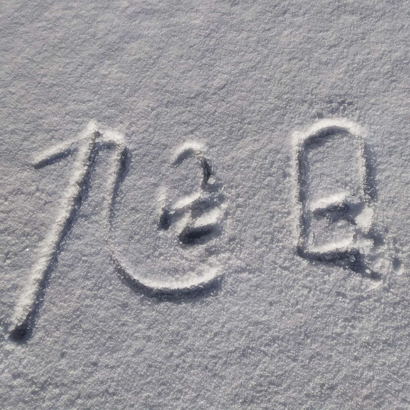 文雀