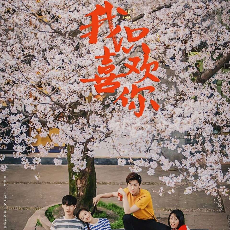 我只喜欢你
