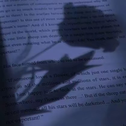 哲理的句子
