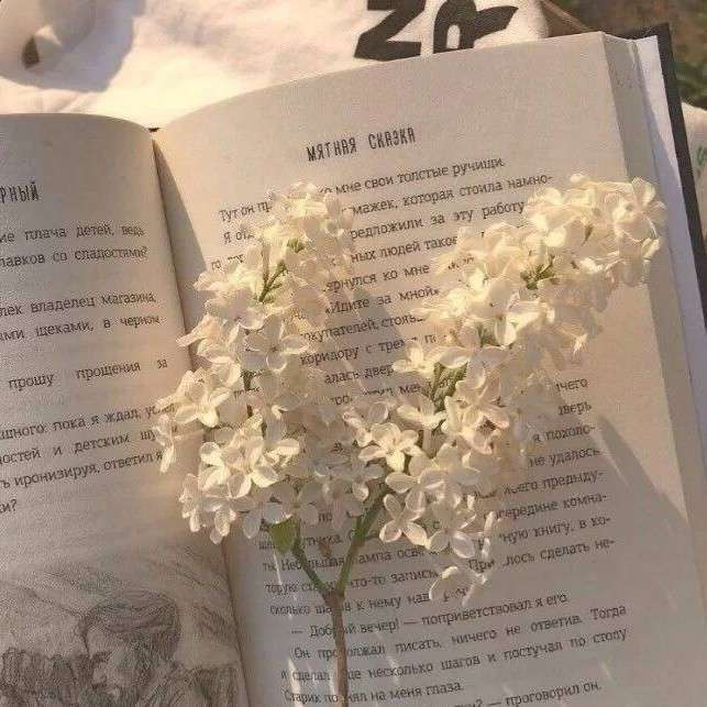 今悦