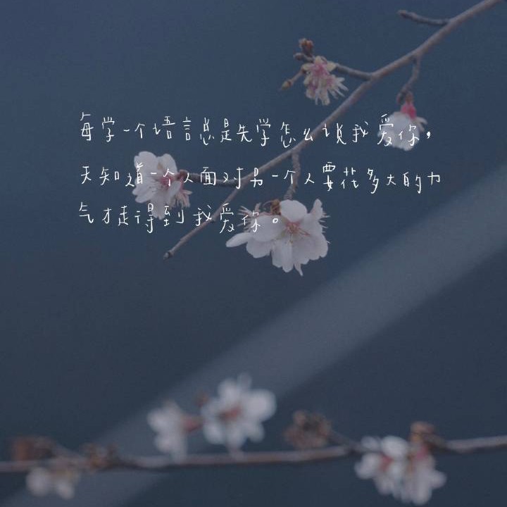 仰望星空