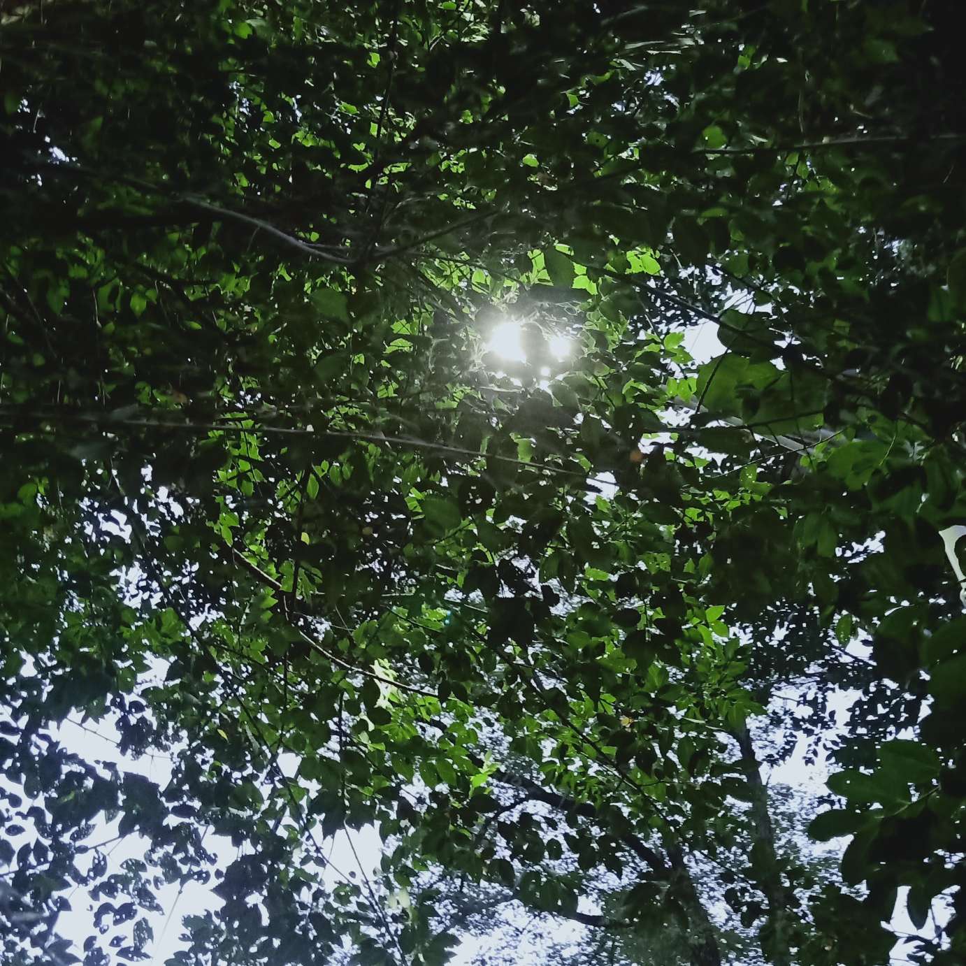 生活