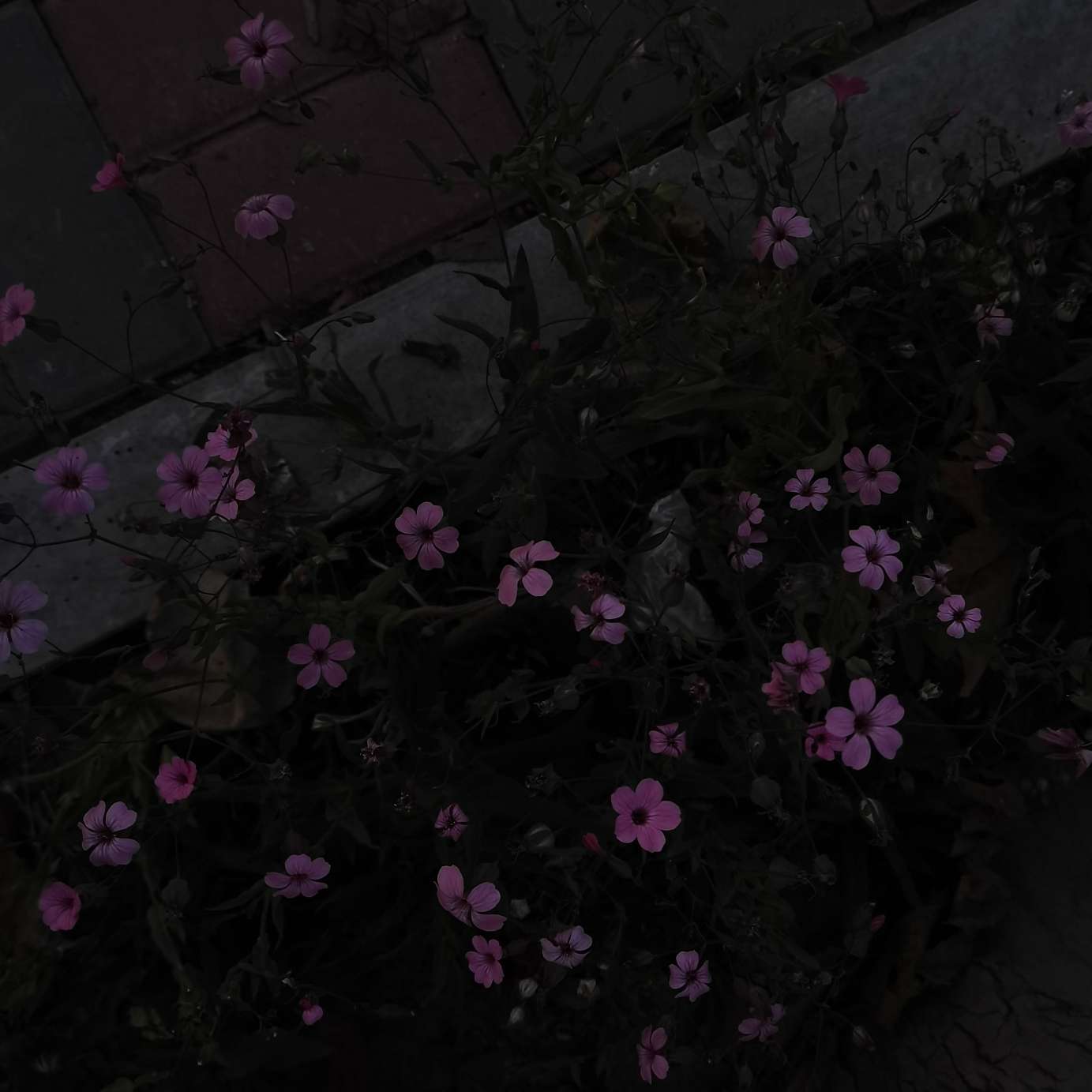 ─=≡Σ((( つ•̀ω•́)つ动感光波哔哔哔!!!