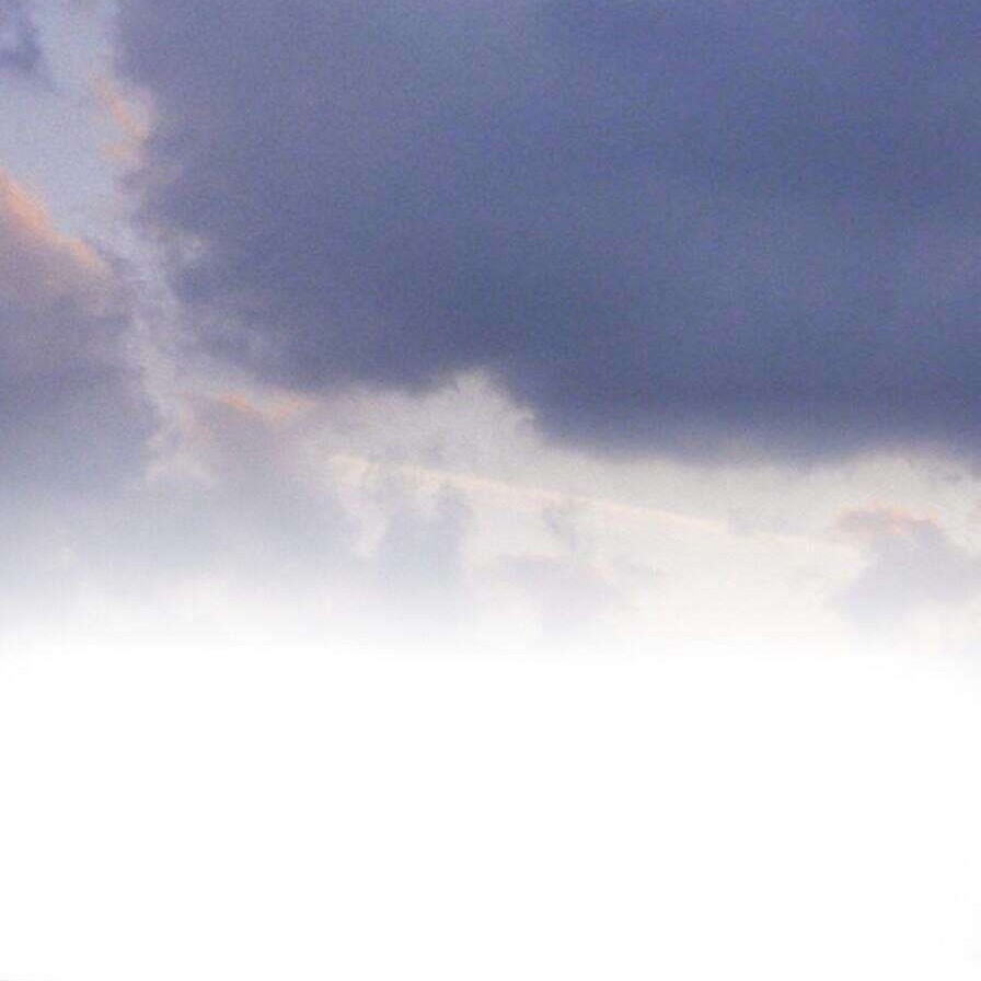 真情实感