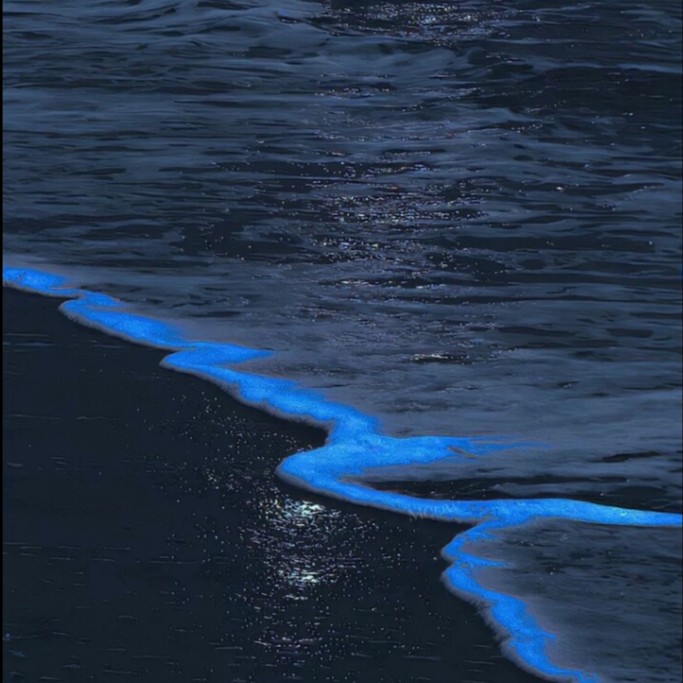 小说