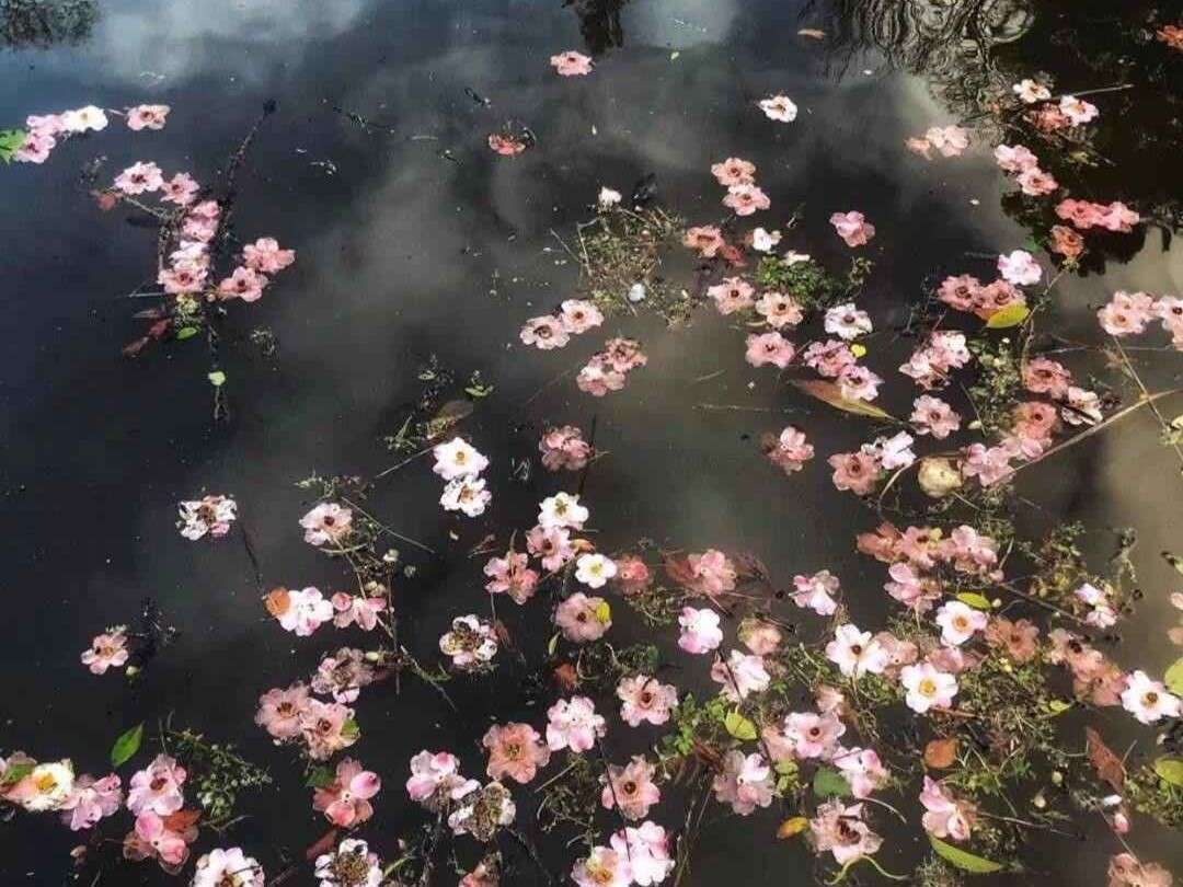 三观超正的文案