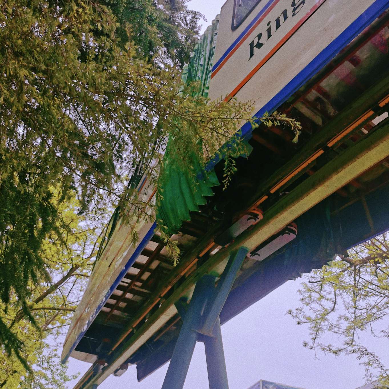 小说语录