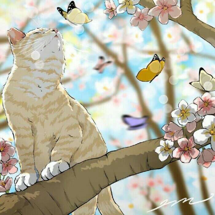 流转时光的温柔句子