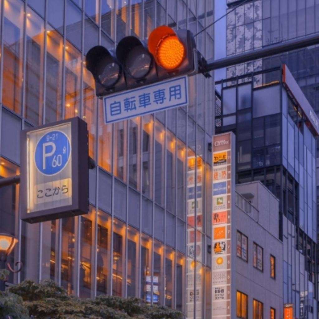 也许
