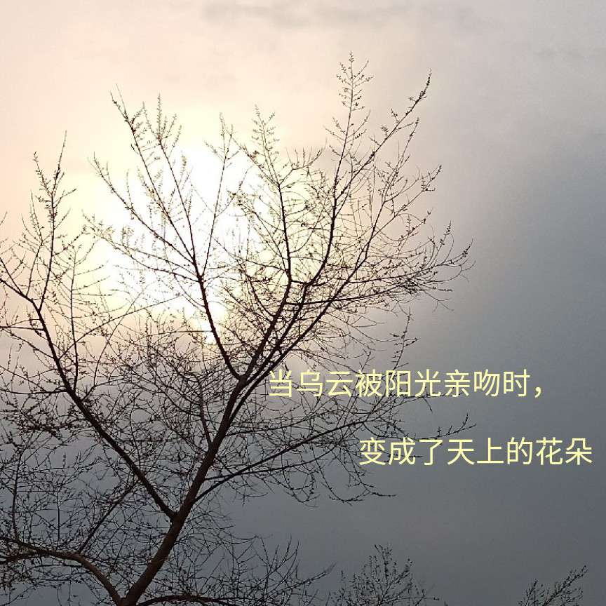 鲲吟渡·君梦的专辑