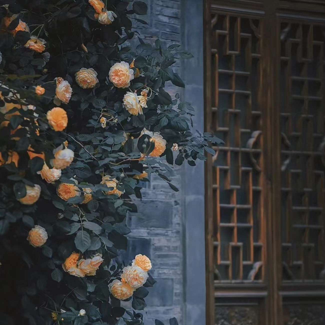 罪恶集