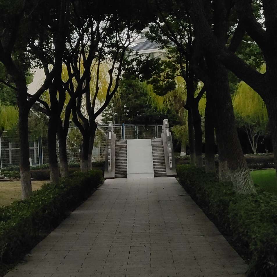 你好，世界