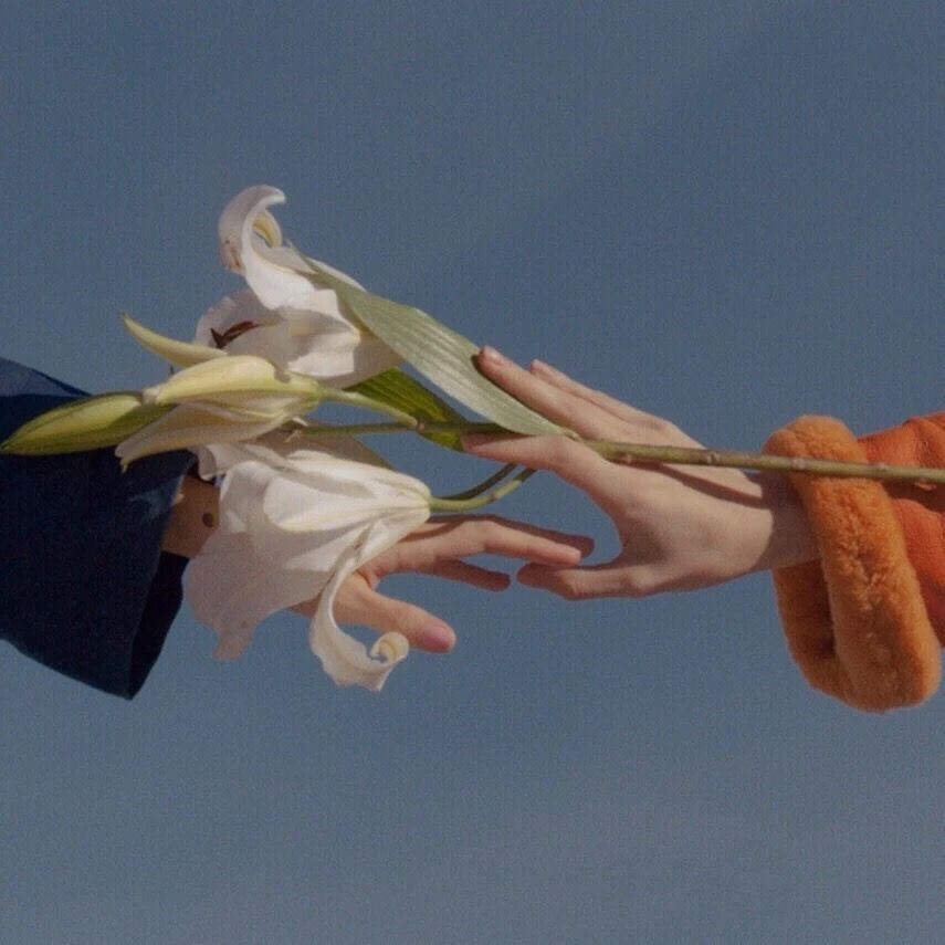 溯洄