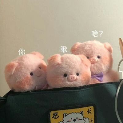 听你的童年