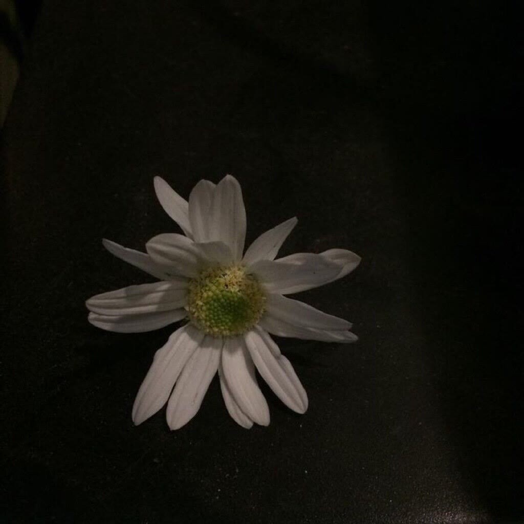 道