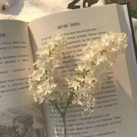 拾草集