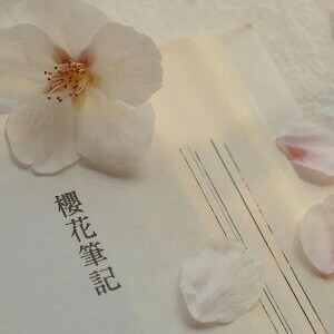 摘樱录