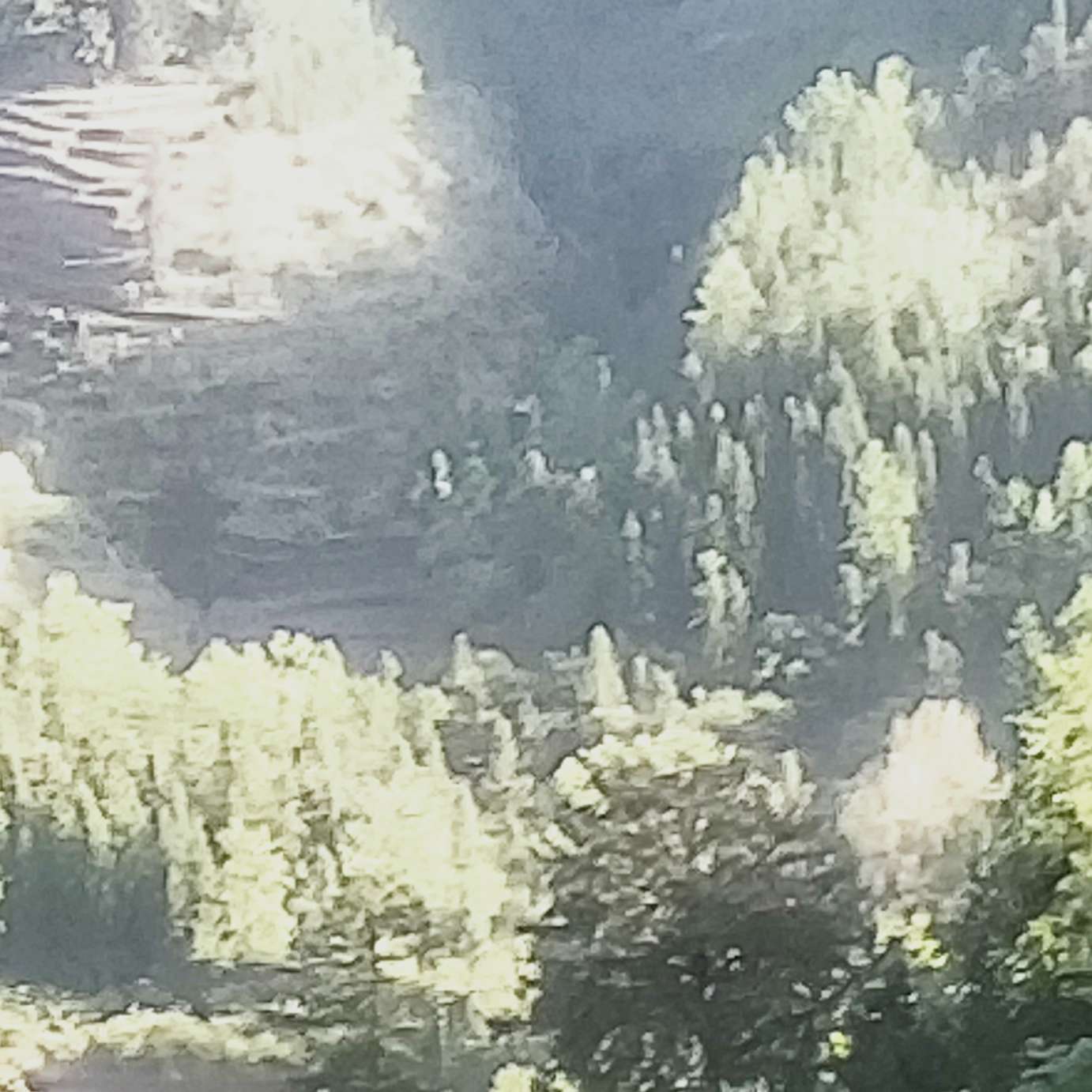 古诗