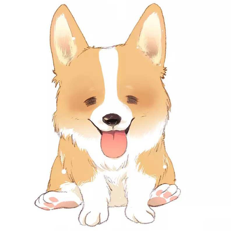 小说
