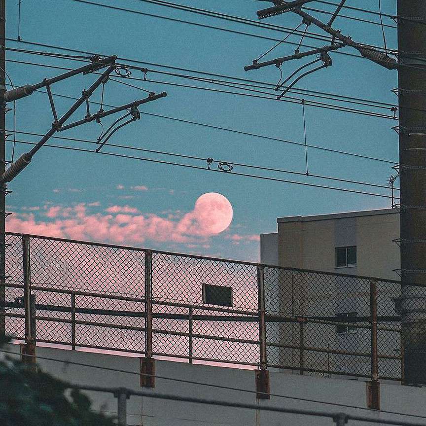 王郴豨的专辑