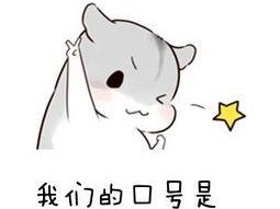 班级口号集锦