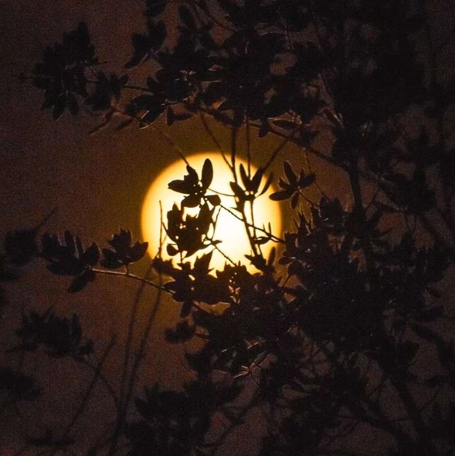 零的专辑