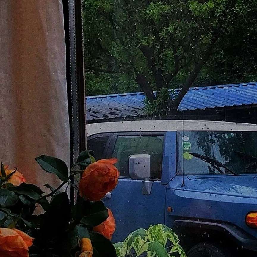 影视金句