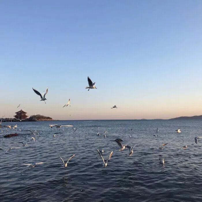 长短句