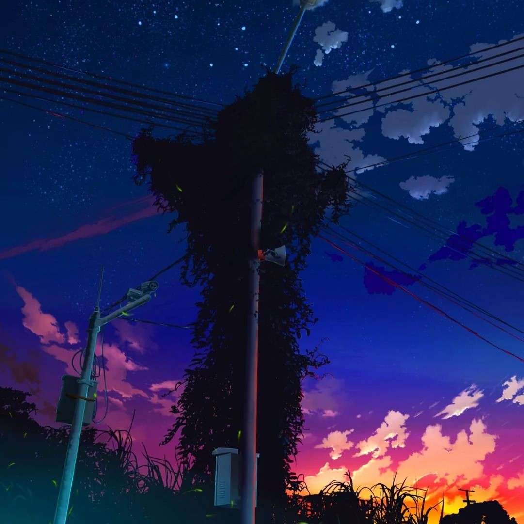 聿佳的专辑