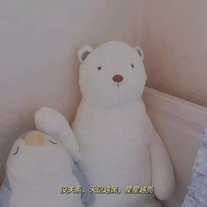 关于♥✨✨